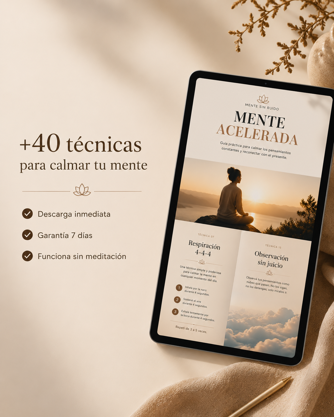 Mente Acelerada